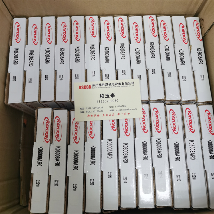 3110-004207065 美國KAYDON軸承 890101 NHBB醫(yī)療軸承